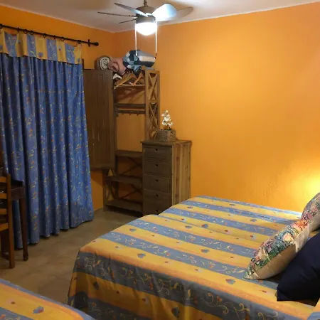 Pensionat Chiki 4*